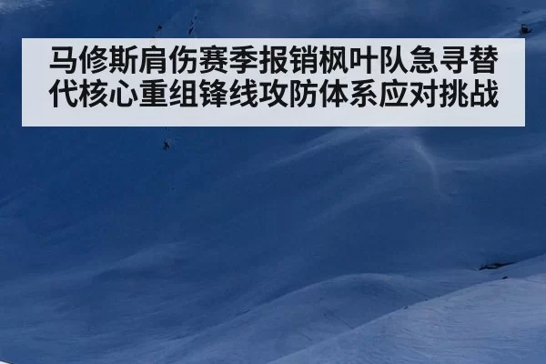 马修斯肩伤赛季报销枫叶队急寻替代核心重组锋线攻防体系应对挑战