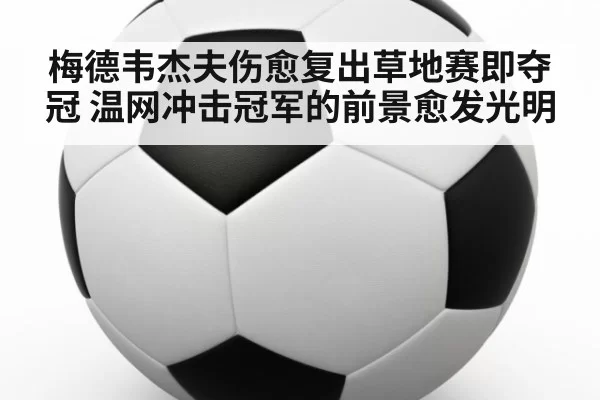 梅德韦杰夫伤愈复出草地赛即夺冠 温网冲击冠军的前景愈发光明