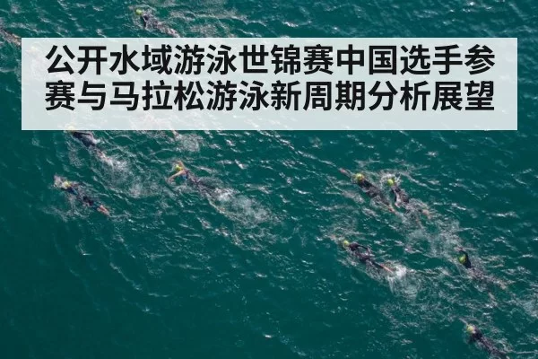 公开水域游泳世锦赛中国选手参赛与马拉松游泳新周期分析展望
